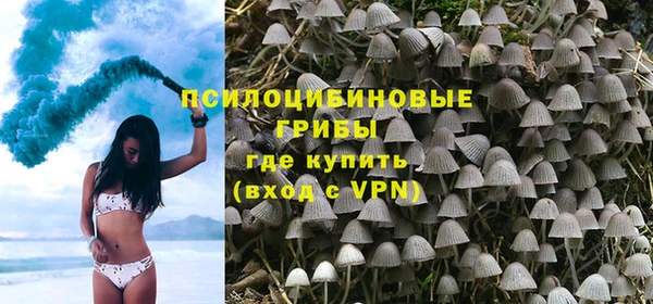 МДПВ Белая Холуница
