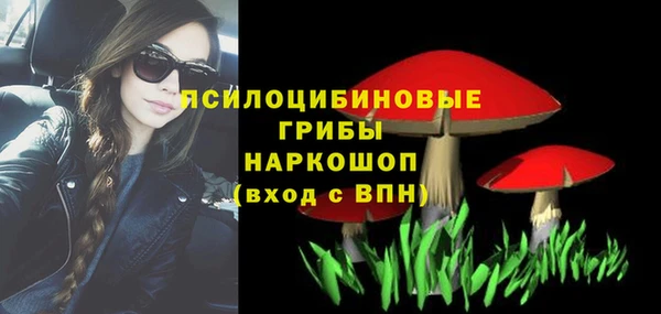 метадон Няндома