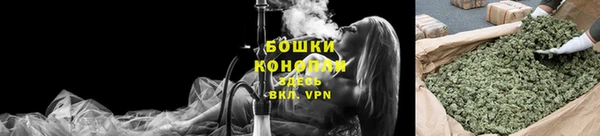 метадон Няндома