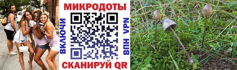 blacksprut как зайти Скопин Псилоцибиновые грибы мицелий как найти